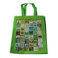 曲靖LB11覆膜无纺布广告袋